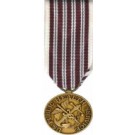 Public Health Service Hazardous Duty Medal - Mini for Public Health Service Service