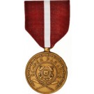 Good Conduct Medal - Large 