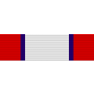 Distinguished Service Medal Thin Ribbon